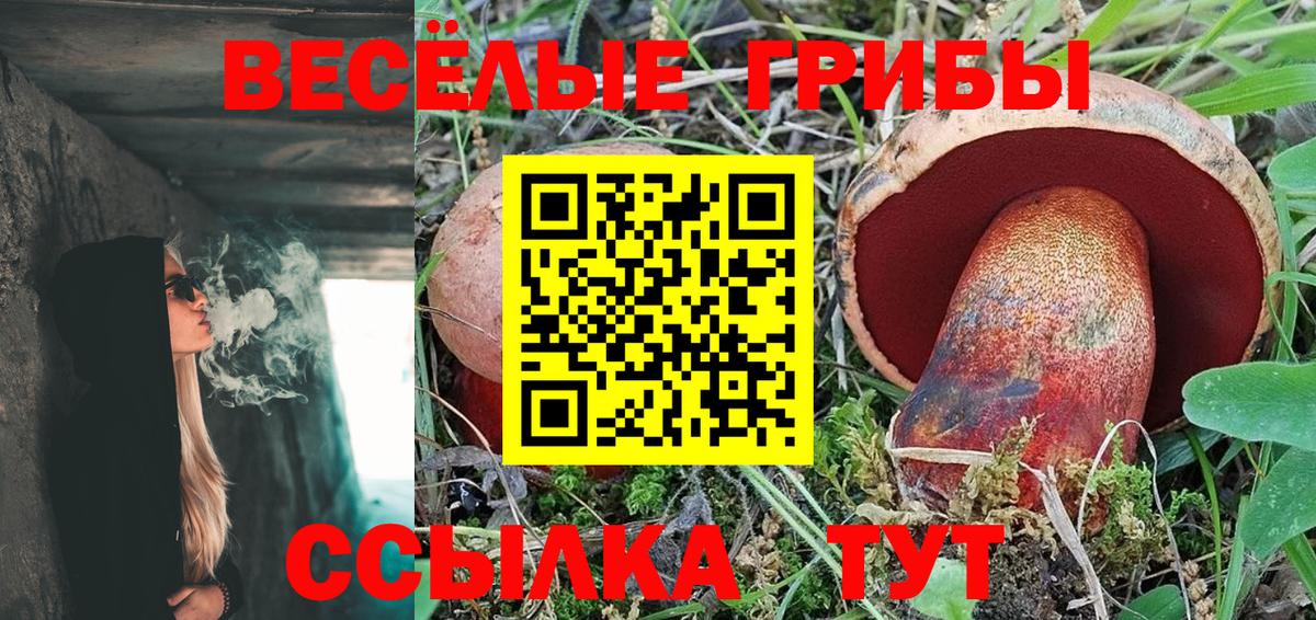 как найти   Псилоцибиновые грибы ЛСД  Псилоцибиновые грибы Magic Shrooms  Вход с VPN  Тамбов 