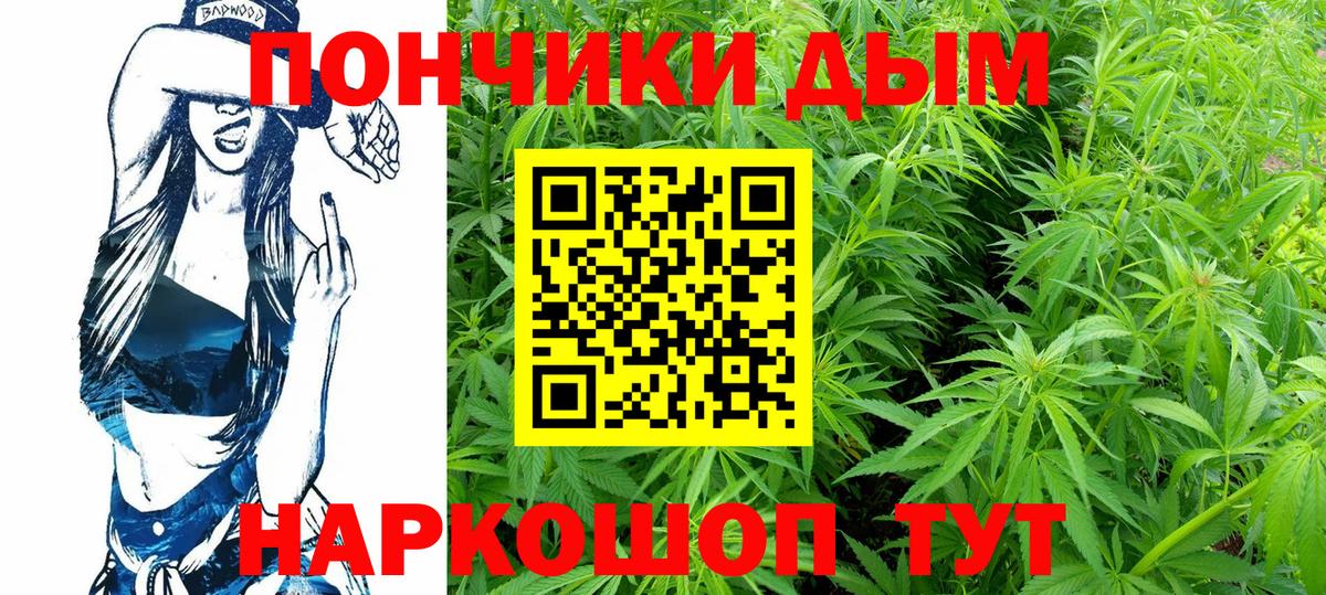 Канабис ГИДРОПОН  Вход с VPN  Канабис планчик  Бошки Шишки OG Kush  Канабис семена  Тамбов 
